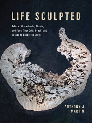 cover image of Life Sculpted